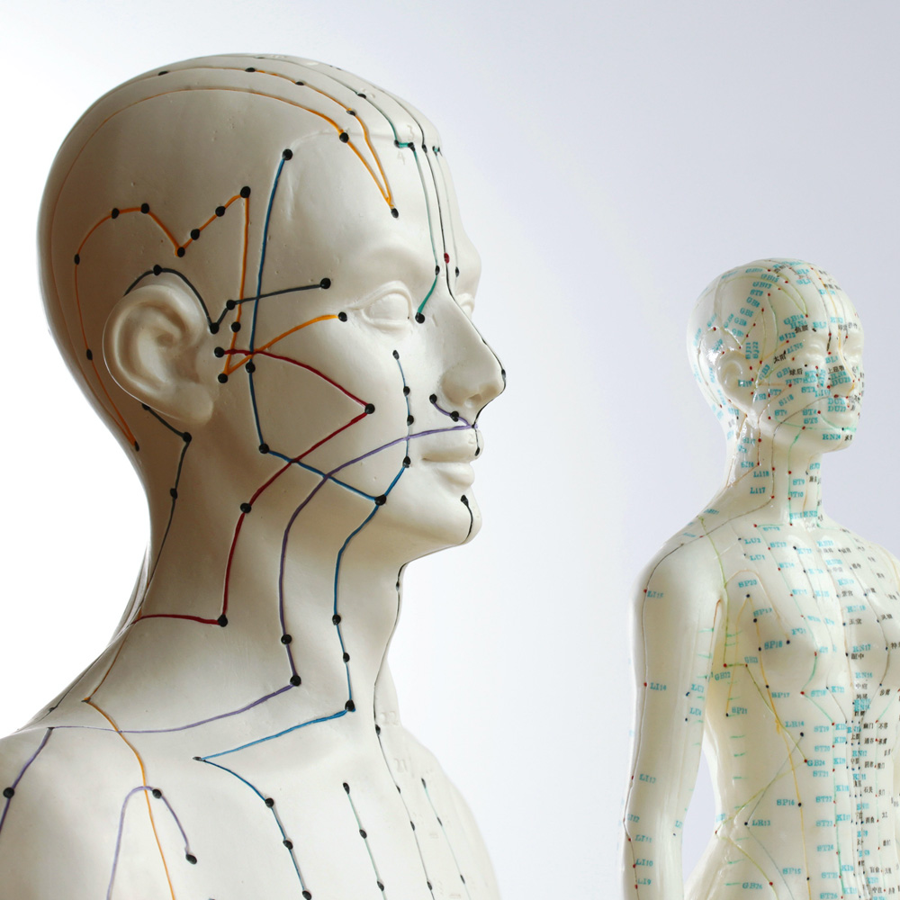 Two mannequins on which acupuncture points are indicated