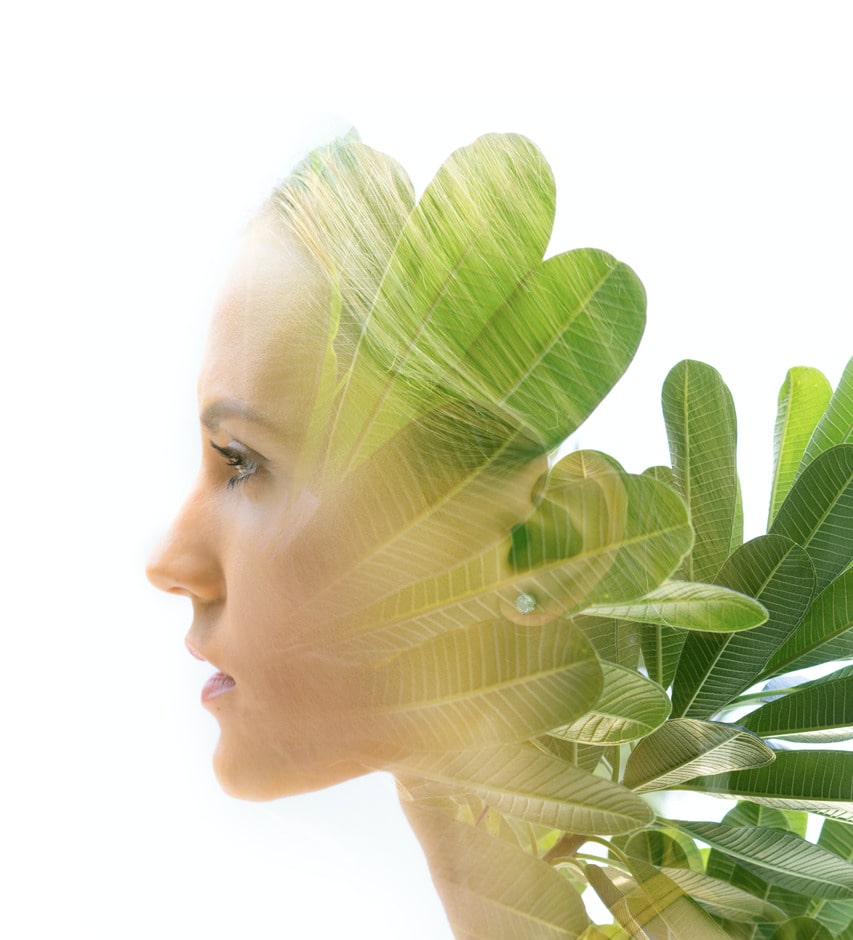 The side profile of a woman's face with the image of leaves overlaying her silhouette