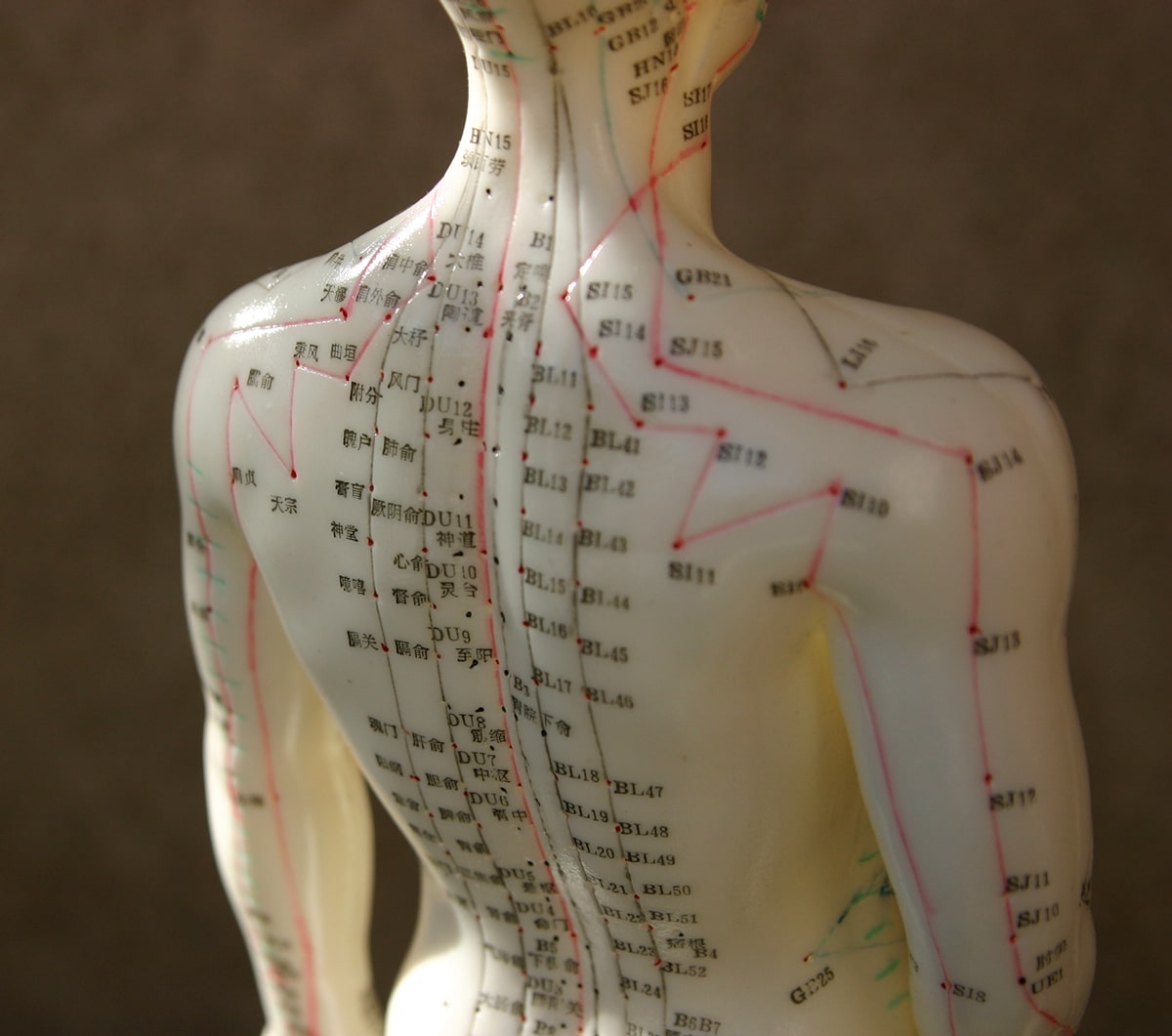 Meridians used in Acupuncture in Denver